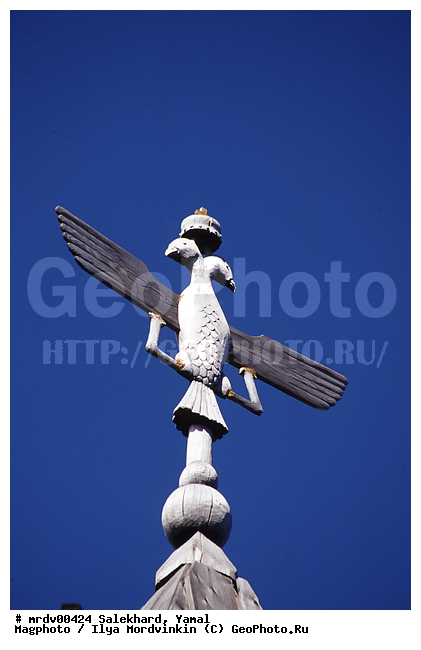 ��������, ����, ����, ���������� ����, ������, ����, �����, ������ �� ������