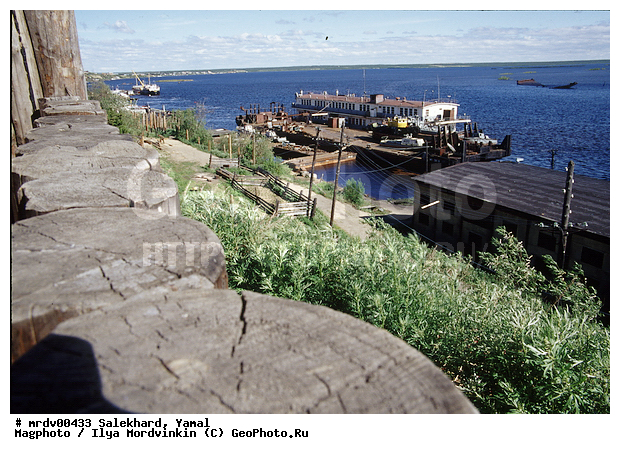 ��������, ����, �����, ��� ������, ����, ���� ���