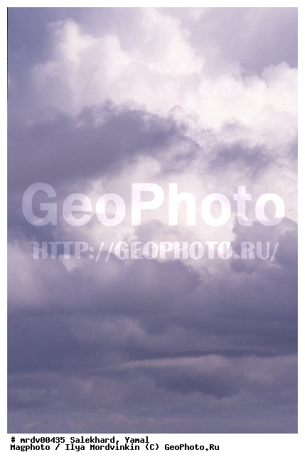 ��������, ����, ����, ������, ����