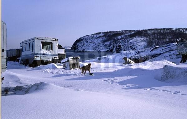 �������� �����