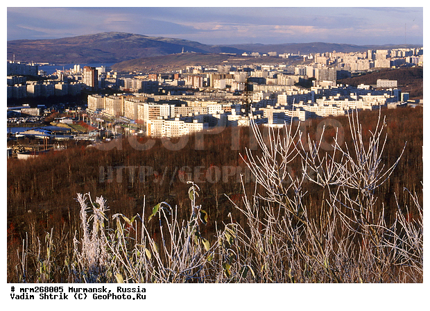 ��������, �����, ����, �����������, �����