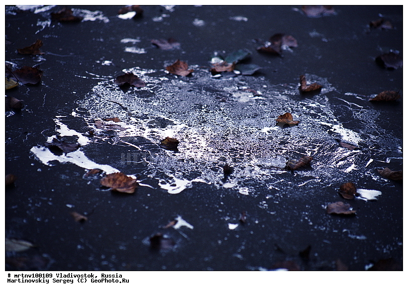  �����������, ������