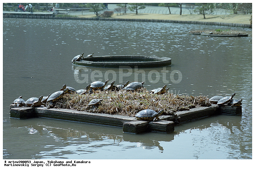 ������, ��������, ������ �����, �����