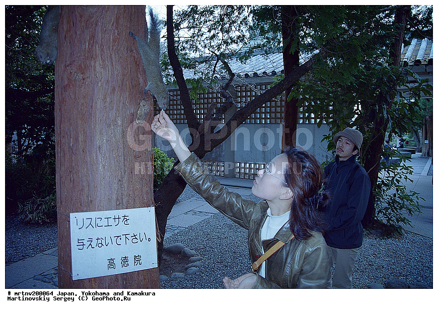 ������, ��������, ������ �����, �����