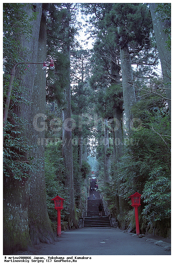 ������, ��������, ������ �����, �����