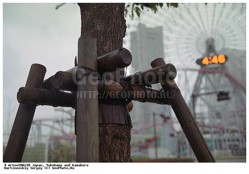 ������, ��������