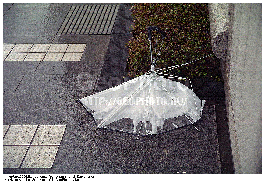 ������, ��������