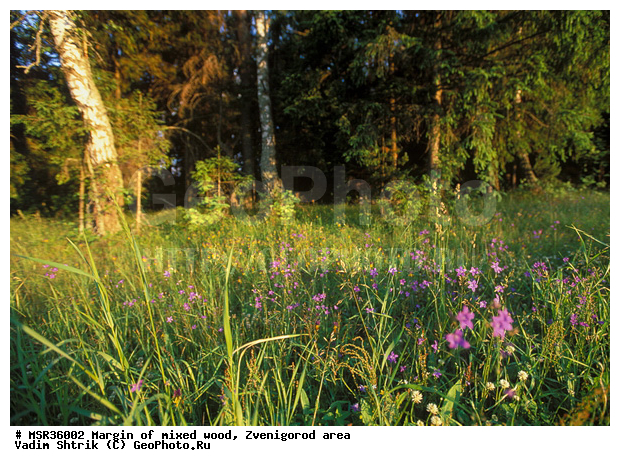 ���, ����, ����������� �����������, ������, ��������� ���