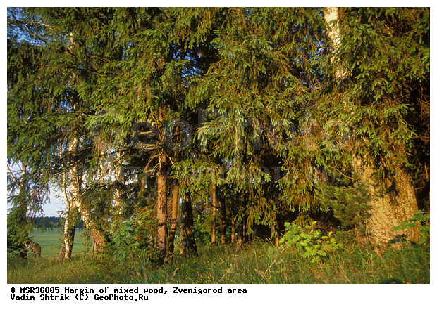 ���, ����, ����������� �����������, ������, ��������� ���