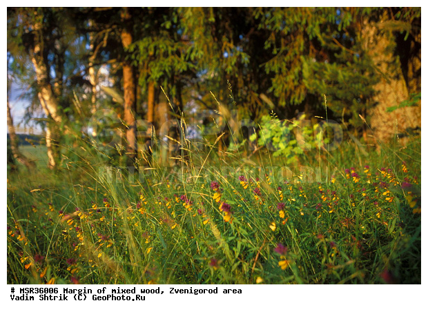 ���, ����, ����������� �����������, ������, ��������� ���