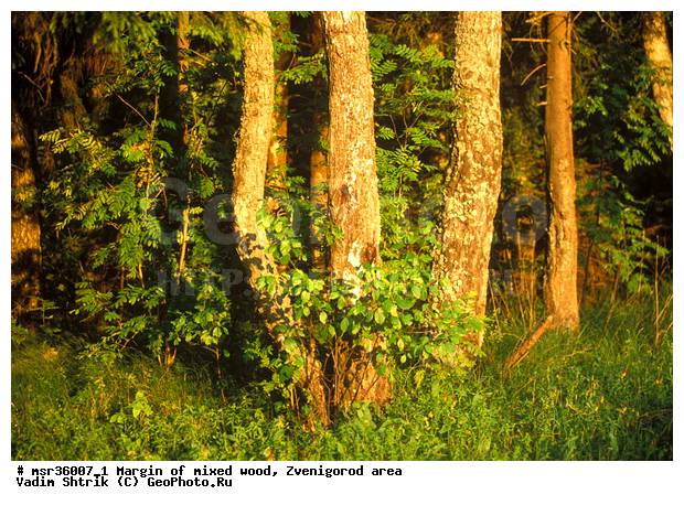 ���, ����, ����������� �����������, ������, ��������� ���