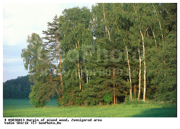 ���, ����, ����������� �����������, ������, ��������� ���