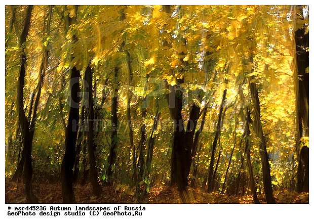 �����, ������, ������� ����, ������, ������