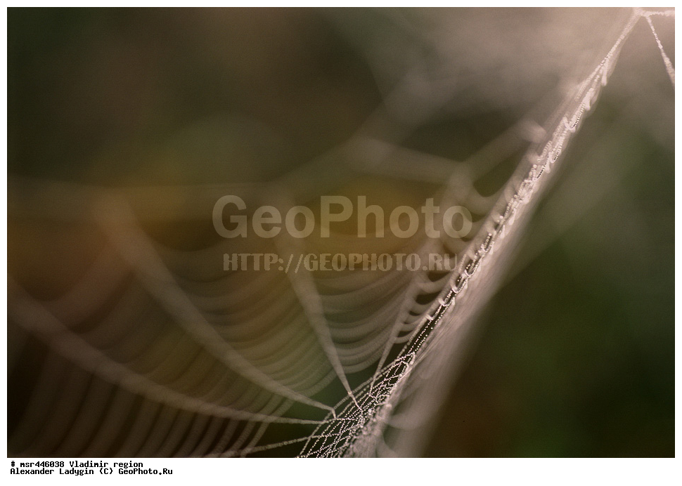  ������, ������������ �������, ����, �����, ����, ����, ����, �������������, ����, �������