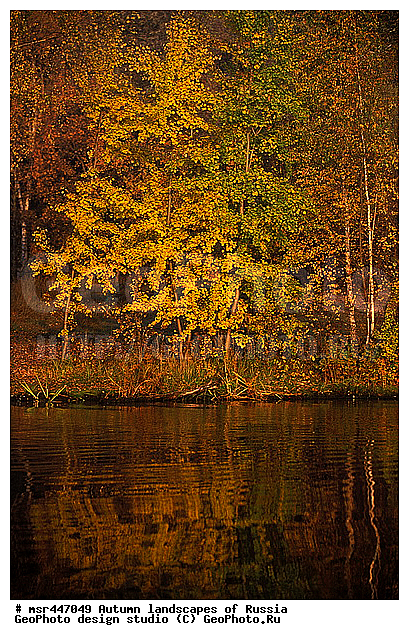 �����, ������, ������� ����, ������, ������