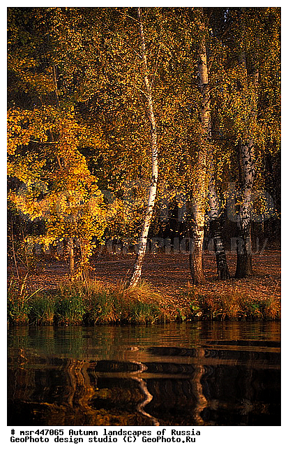 �����, ������, ������� ����, ������, ������