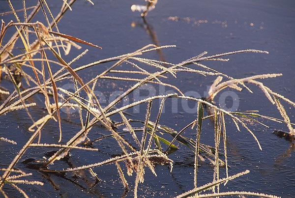 ����������, �����������, ���, ��������, ������, �����, �����, ������