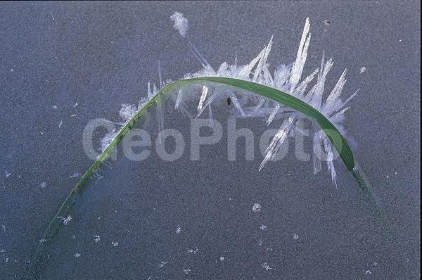 ����������, �����������, ���, ��������, ������, �����, �����, ������