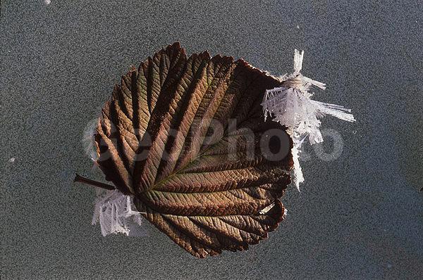 ����������, �����������, ���, ��������, ������, �����, �����, ������