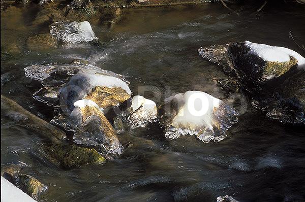 ����������, �����������, ���, ��������, ������, �����, �����, ������