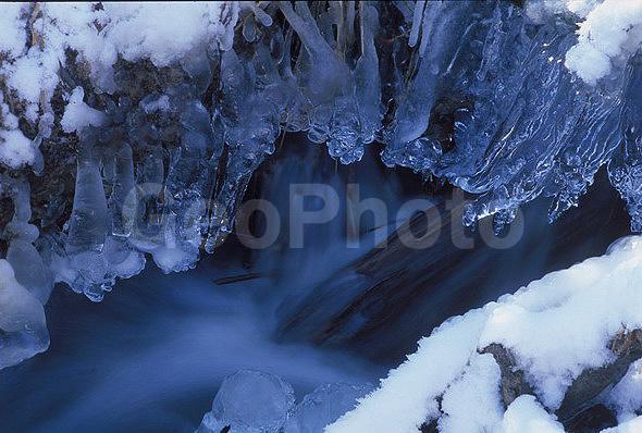 ����������, �����������, ���, ��������, ������, �����, �����, ������