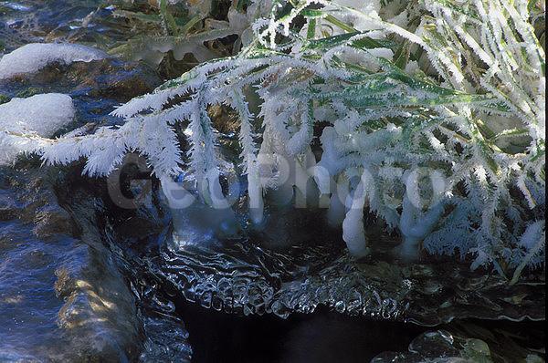 ����������, �����������, ���, ��������, ������, �����, �����, ������