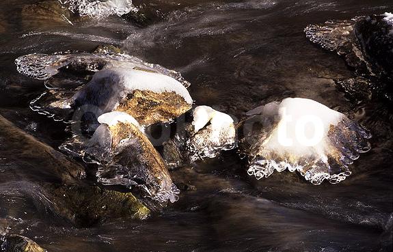 ����������, �����������, ���, ��������, ������, �����, �����, ������