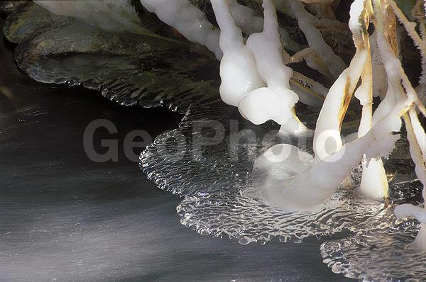 ����������, �����������, ���, ��������, ������, �����, �����, ������