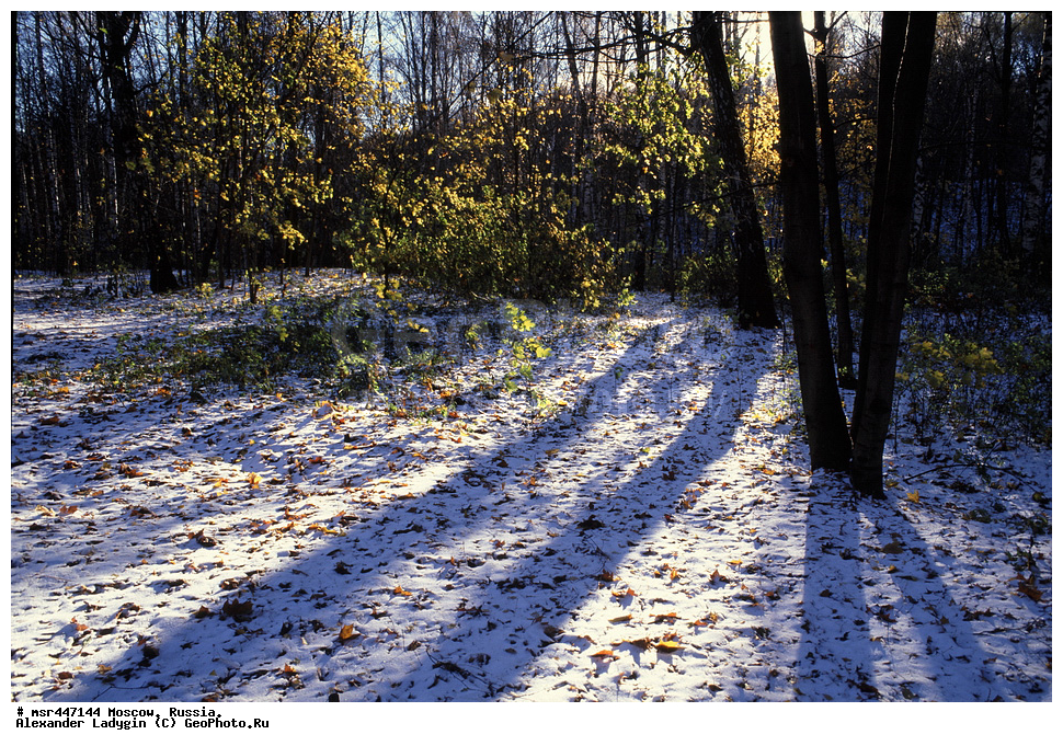 ������� ������ ������, ���������� �������, ����, ��������� ����, ����� ������, ������, �����, ����, ��������, ������, ������, �����, ���