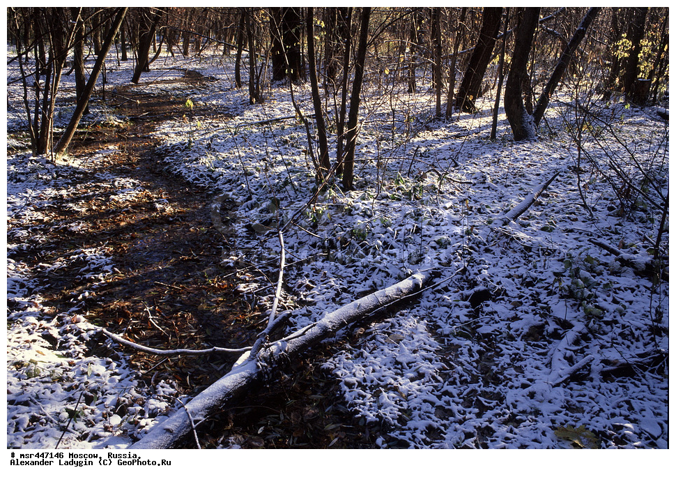 ������� ������ ������, ���������� �������, ����, ��������� ����, ����� ������, ������, �����, ����, ��������, ������, ������, �����, ���