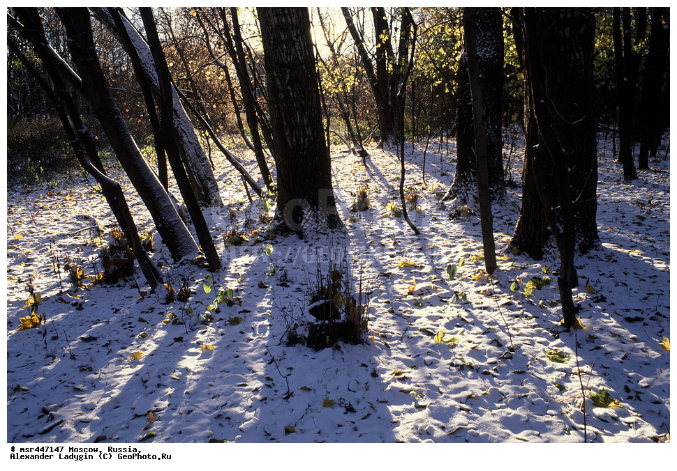 ������� ������ ������, ���������� �������, ����, ��������� ����, ����� ������, ������, �����, ����, ��������, ������, ������, �����, ���