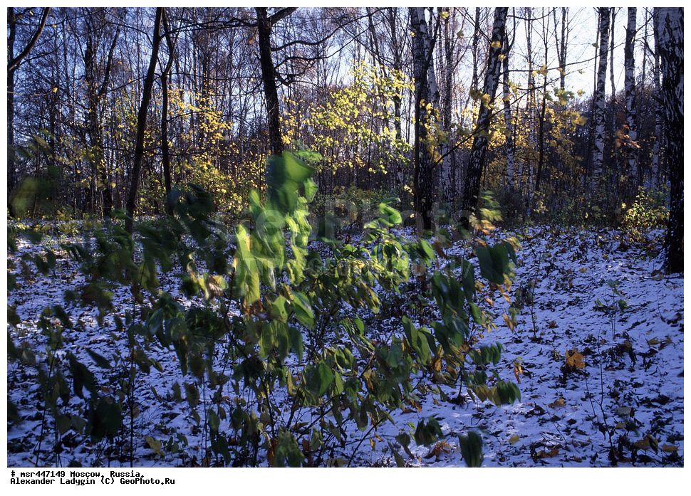 ������� ������ ������, ���������� �������, ����, ��������� ����, ����� ������, ������, �����, ����, ��������, ������, ������, �����, ���