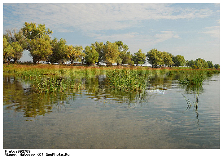 ������, �����, �������, �����, ����, ���� ������, �������