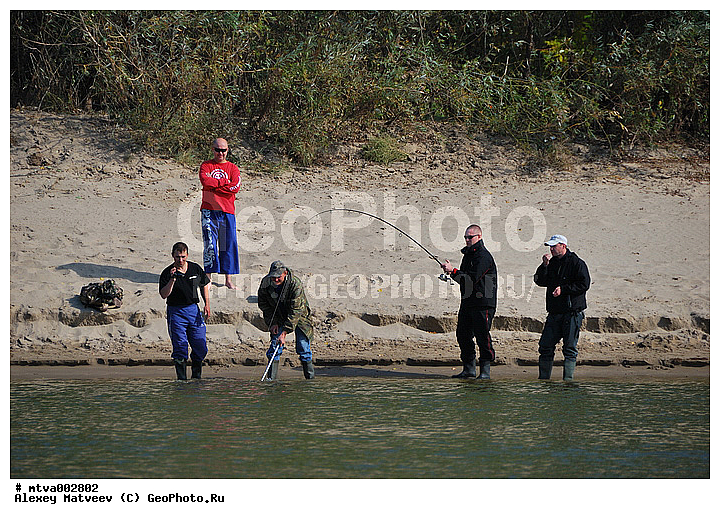 ������, �����, �������, �����, �����, ����, ���� ������, �������, �����