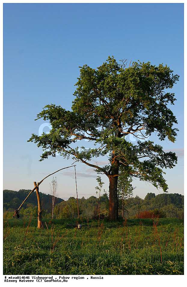 ����������q ��������, ��������� �������, ������, �����, ����, ���