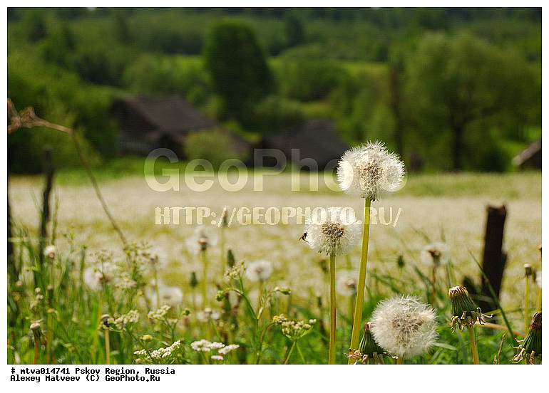 ��������� �������, �����, �������, ����, ����, ���, ����������, ������, ����, ����