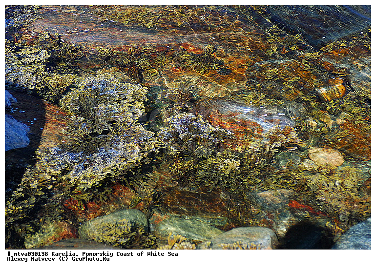 ����� ����, �������, ��������� �����, ���������, ����, ��������� �����, �����