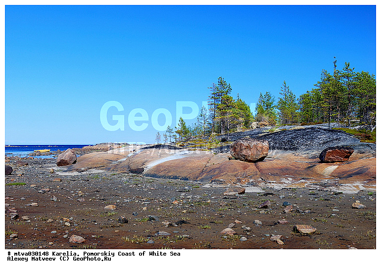 ����� ����, �������, ��������� �����, ���, �����, ����, �����, �����