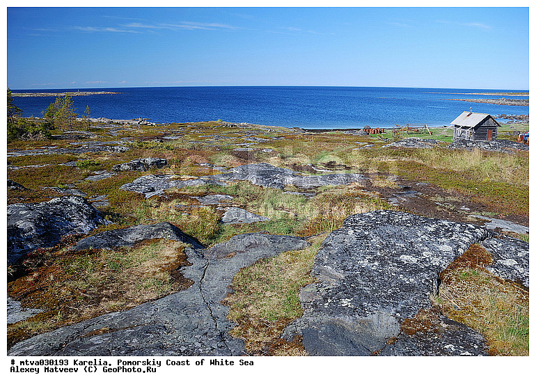 ����� ����, �������, ��������� �����, �������, �����, ����, ���, ������