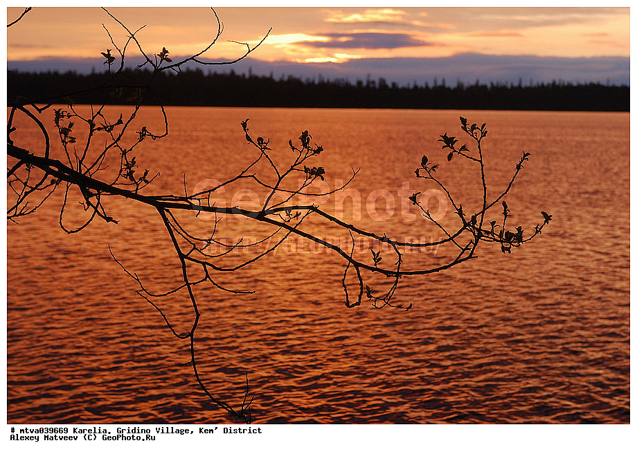 ����� ����, ������� �������, �������, ������� �����, ������