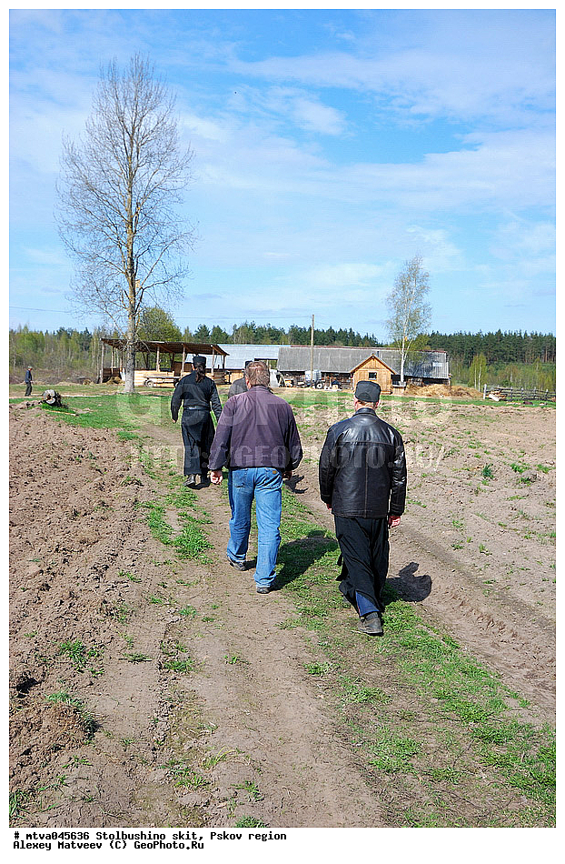 ��������� �������, ������, ����, ����������, ���� �������, ������� ������