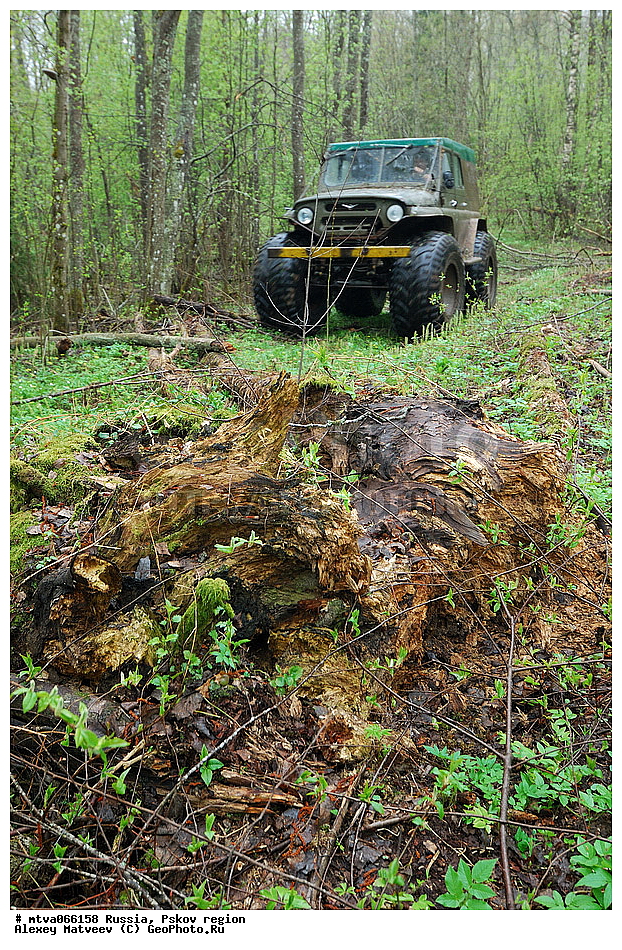 ���-����, ��������� �������, ���, ������, ����