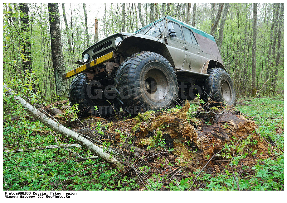 ���-����, ��������� �������, ���, ������, ����