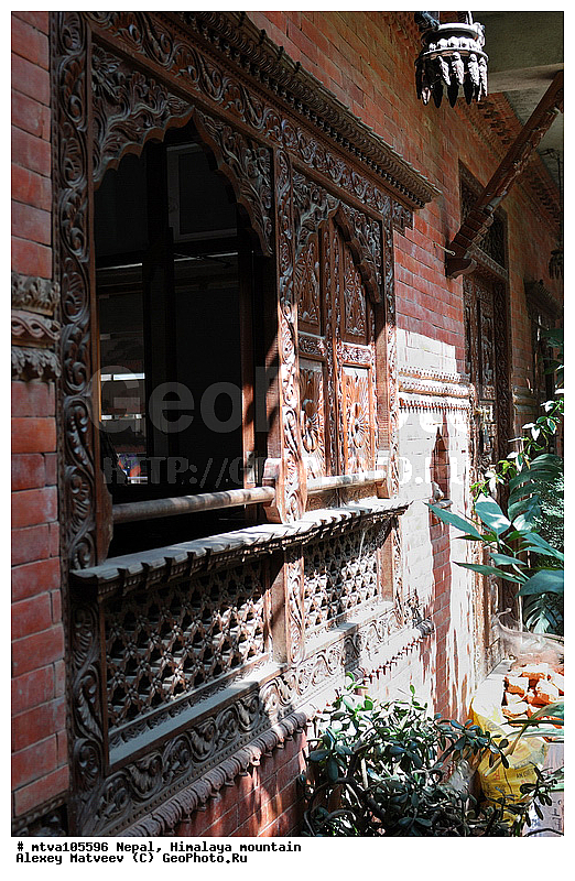 ����, �������, ��������, �����, ���, ����, ������, �����