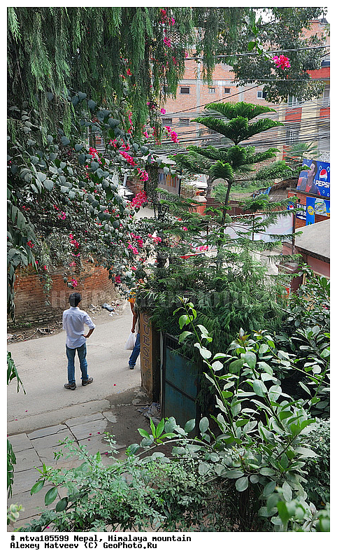 ����, �������, ��������, �����, ����, �����