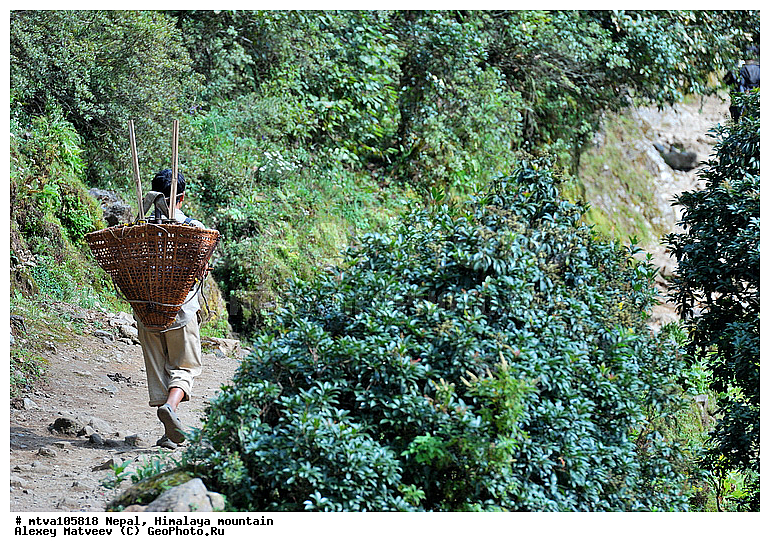 ����, �������, �����, ����������, �������-����, ����, ������, ����, ��������, ����