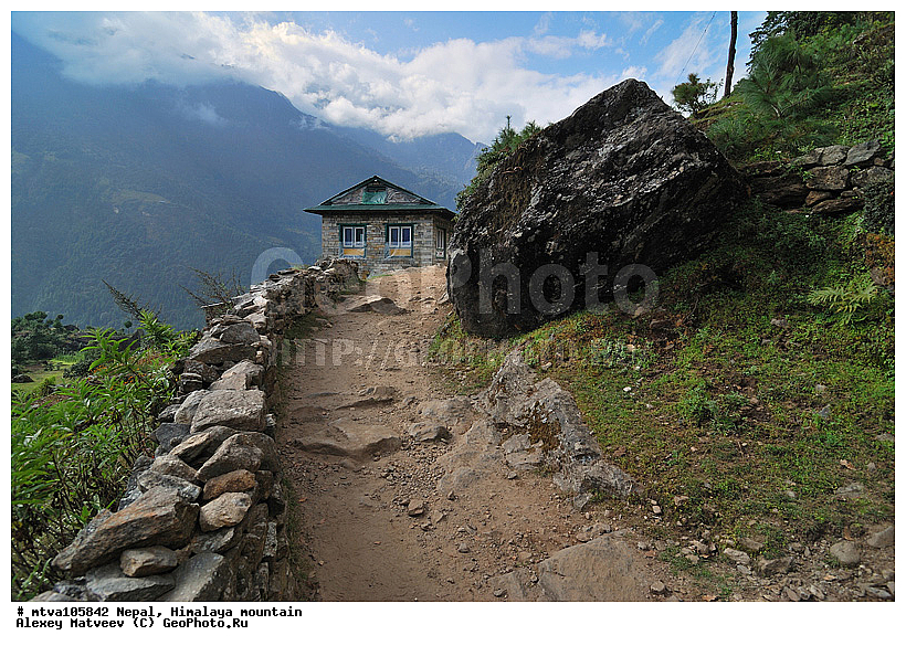 ����, �������, �����, ����������, �������-����, ����, ����, ��������