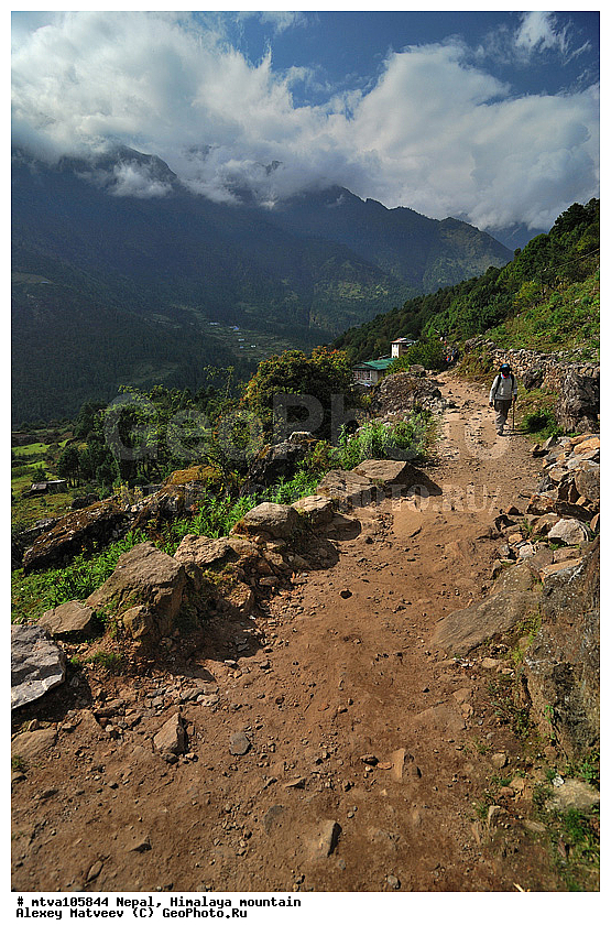 ����, �������, �����, ����������, �������-����, ����, ����, ��������