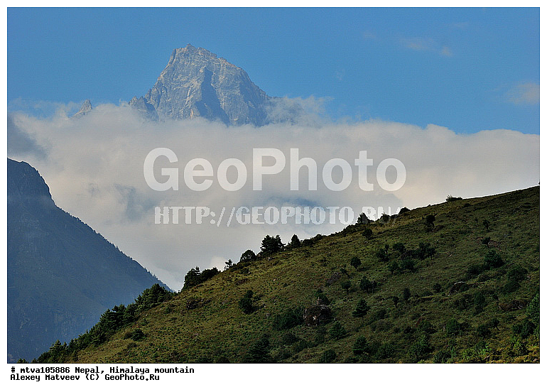 ����, �������, �������, �����, ����������, �������-����, ����, ����, ��������