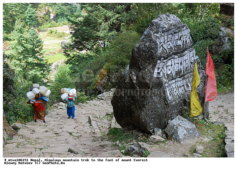 ����, �������,  �����, �������-����, ����, ����, ��������